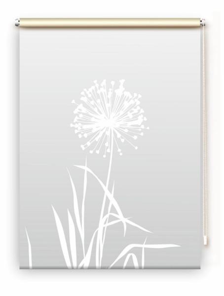 Rollo Allium 24 lichtgrau, Rollo, Motivrollo, Rollo mit Druck, Fotorollo, bedrucktes Rollo, Fensterrollo,verdunkelndes Rollo, Sonnenschutz Rollo